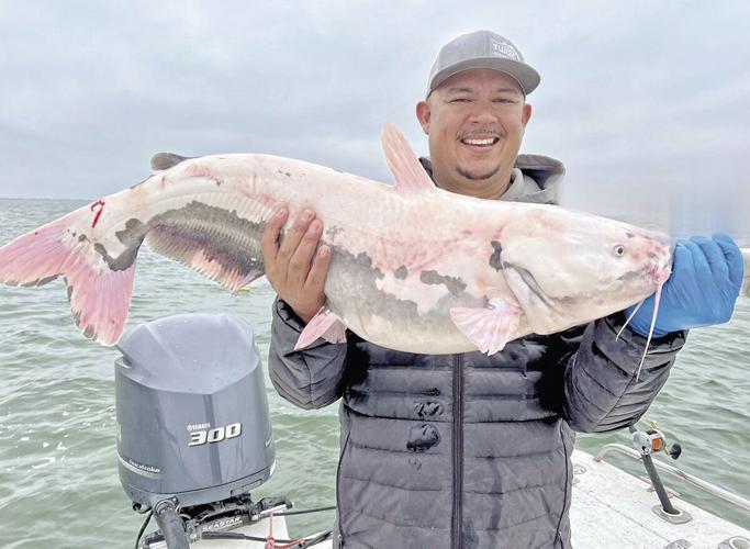 Texas Angler Hooks Record 31-pound Blue Catfish