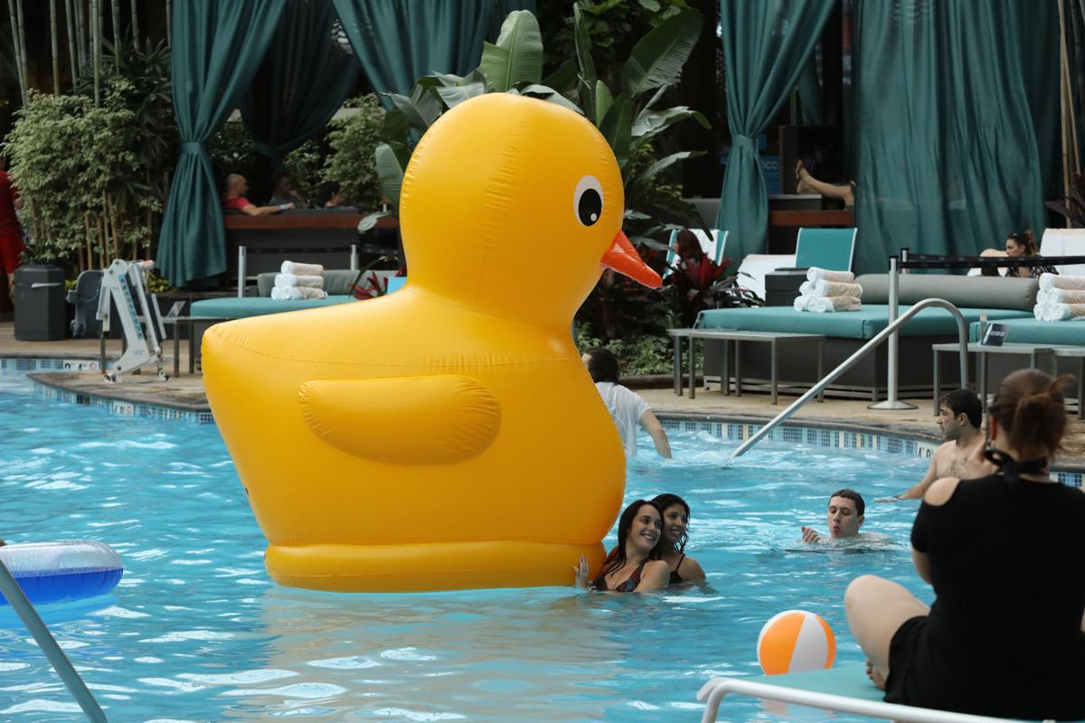 Daylife pool party at "The Pool" Harrah's AC