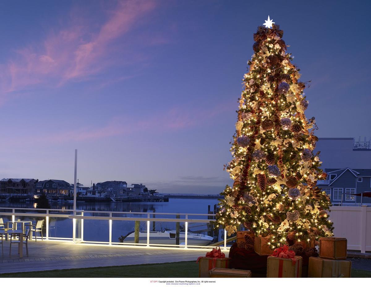 Local Restaurants Show Off Dazzling Holiday Displays To Celebrate Local Restaurants Show Off Dazzling Holiday Displays To Celebrate The Season