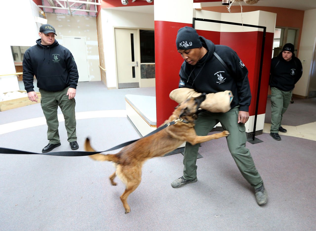 john k9 training