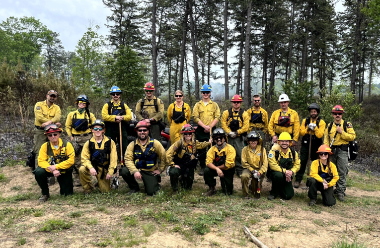 DEC Forest Rangers – Week in Review