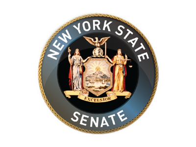 Senate Elections Committee to discuss New York City's public campaign