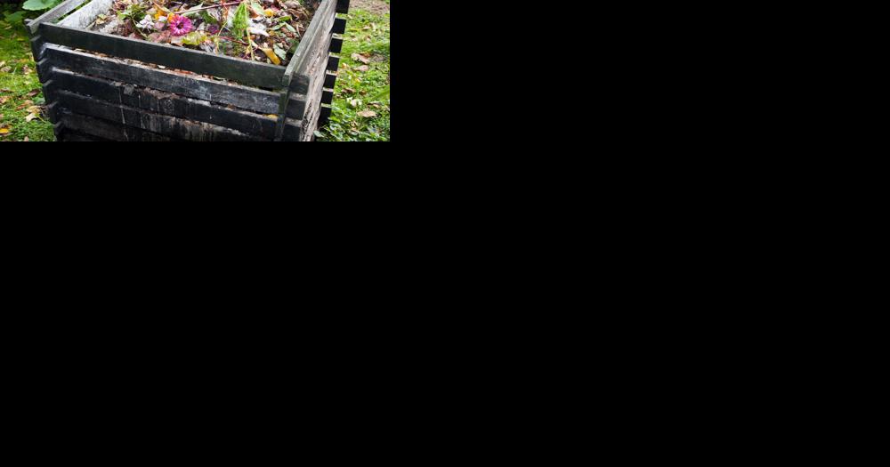 Eco Talk: How, and why, to start composting - Vimarsana News