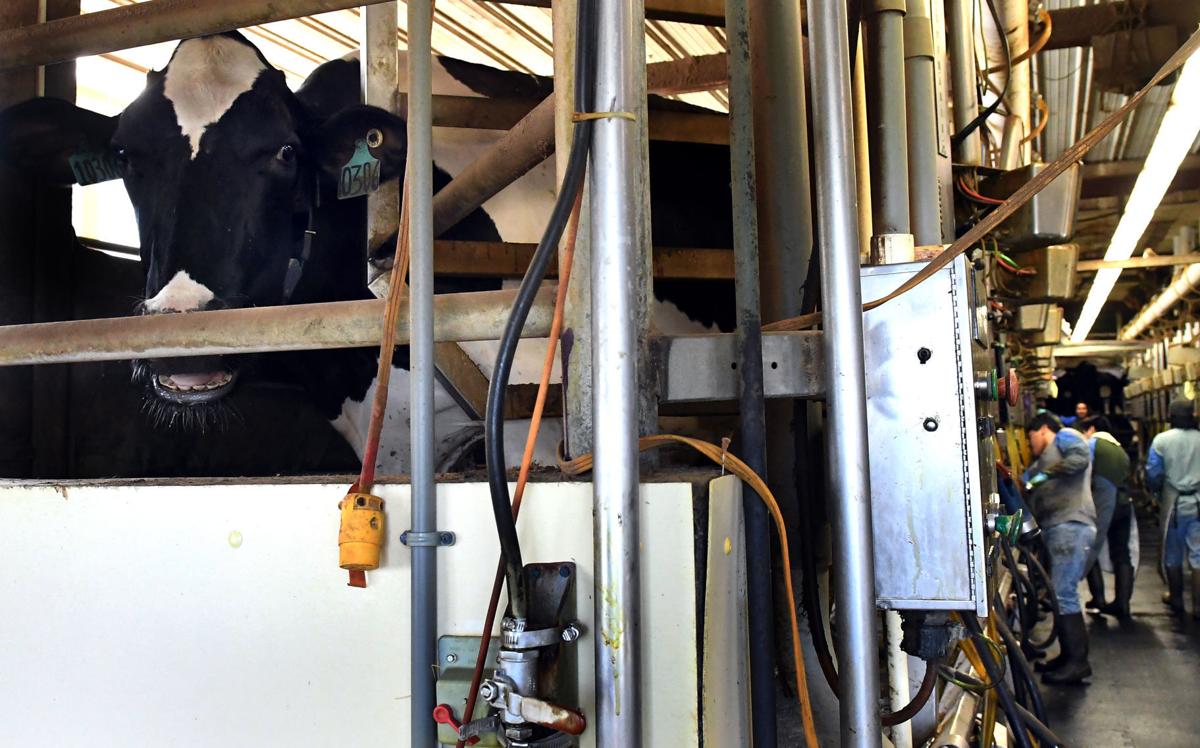 Gallery Allen Farms in Scipio Center Photo Galleries