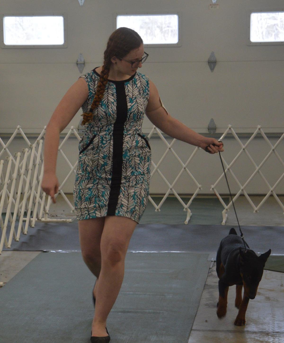 Canines Compete At All Breed Dog Show In Cayuga County Town Of Locke Local News Auburnpub Com