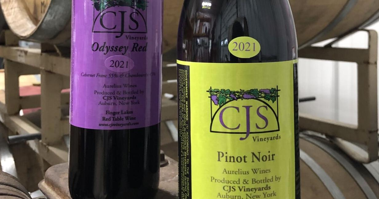 Warm March in Finger Lakes wine country brings worries - Vimarsana News