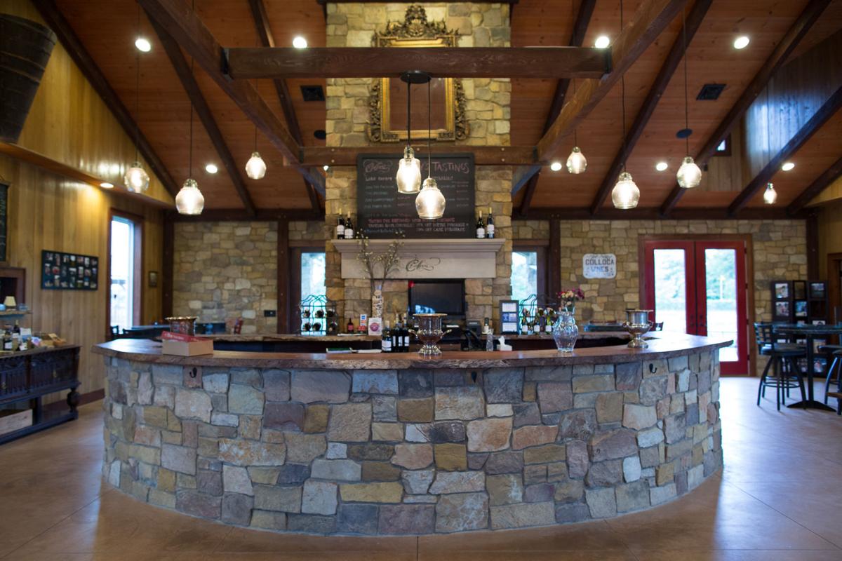 Colloca Estate Winery 3