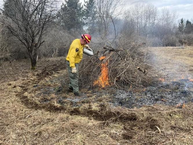 DEC Forest Rangers - Week in Review