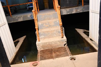 blue-green algae water