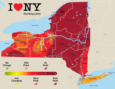 New York state fall foliage report for week of Oct 23 29  Local News  