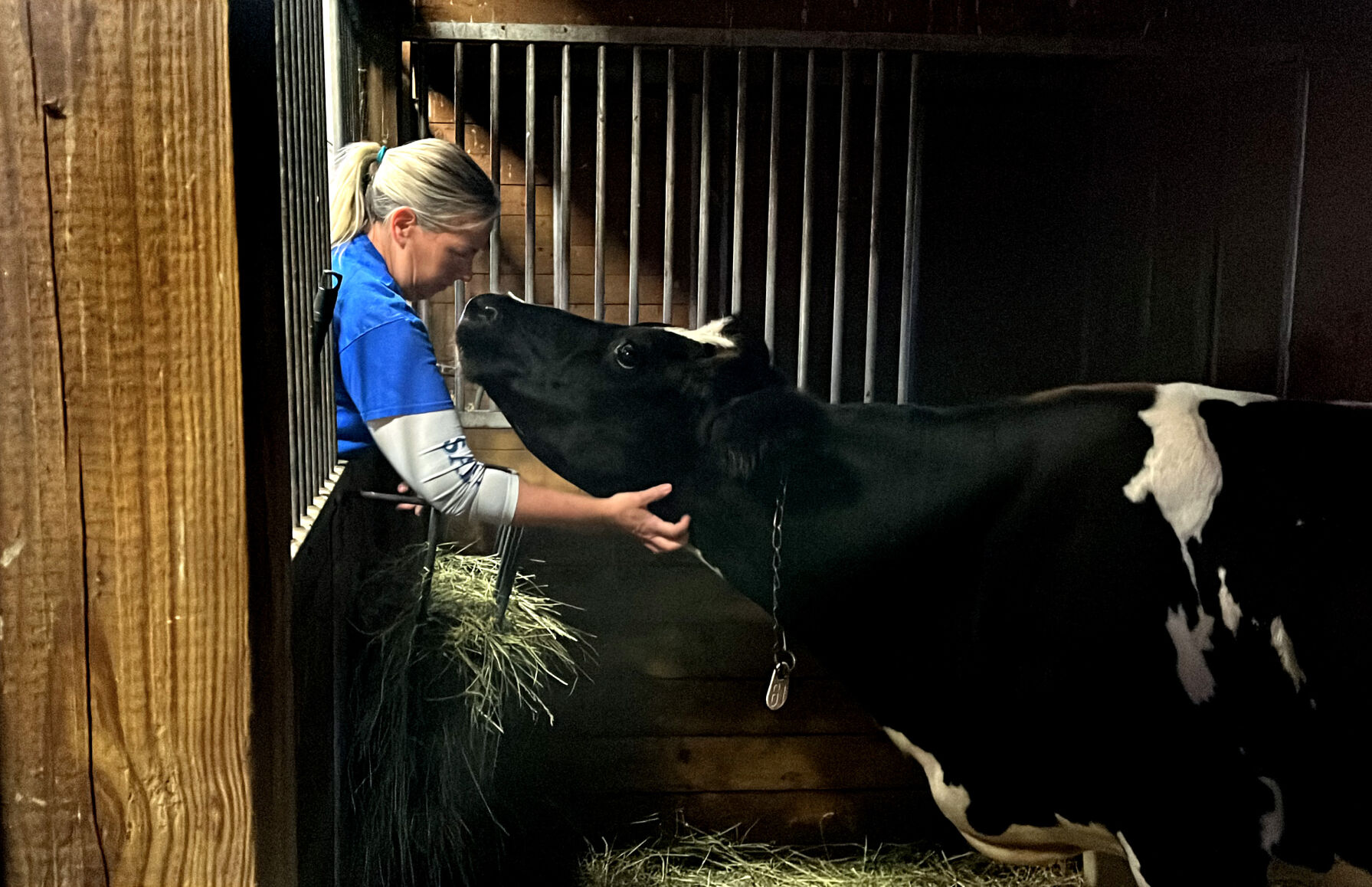 Video Chester's Barn offers sanctuary to neglected animals in Scipio