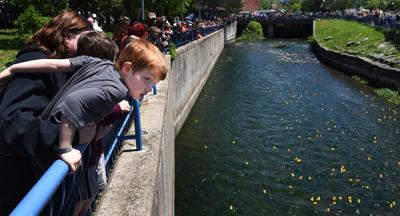 Duck Derby 2017