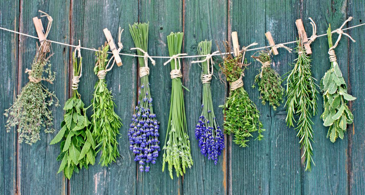 Herbs on line