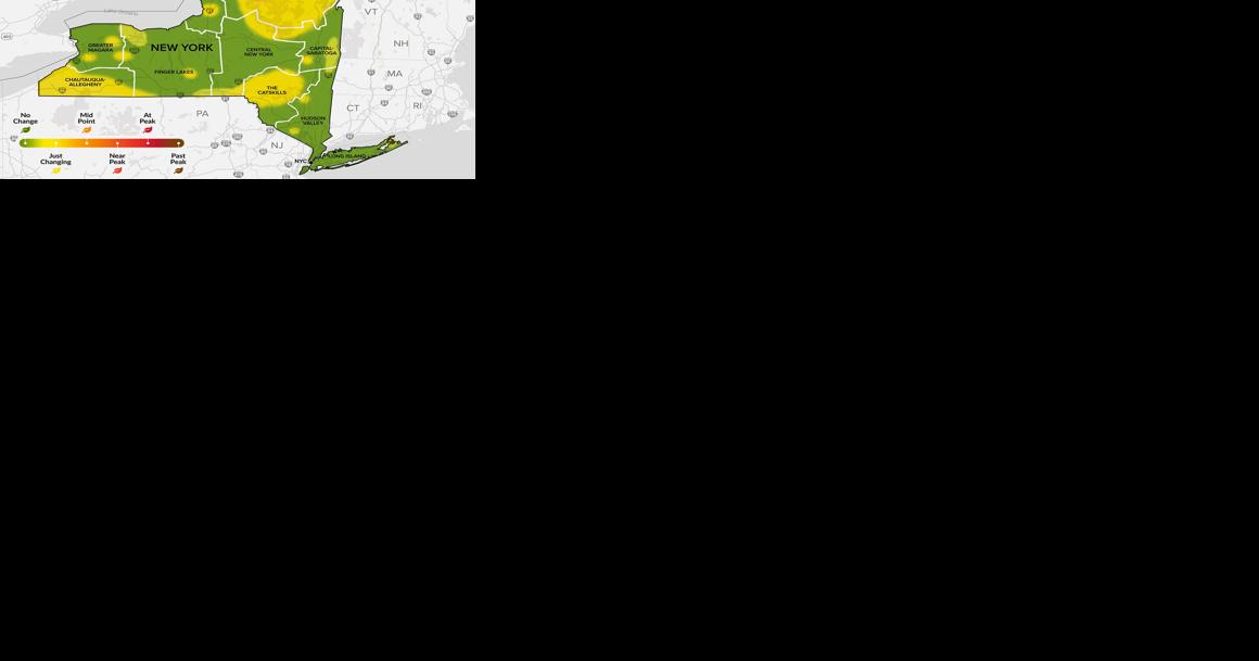 New York state fall foliage report: Sept. 20-26, 2023 - Vimarsana News