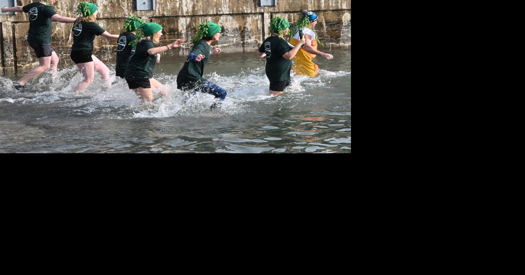 Gallery Polar Bears plunge into Skaneateles Lake