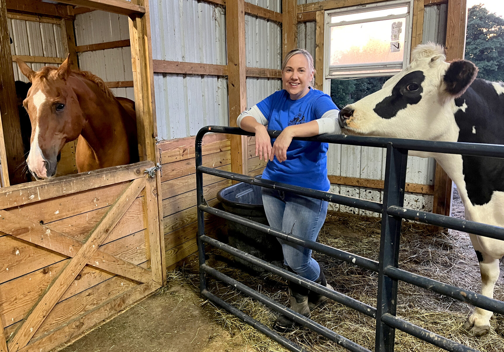 Video Chester's Barn offers sanctuary to neglected animals in Scipio
