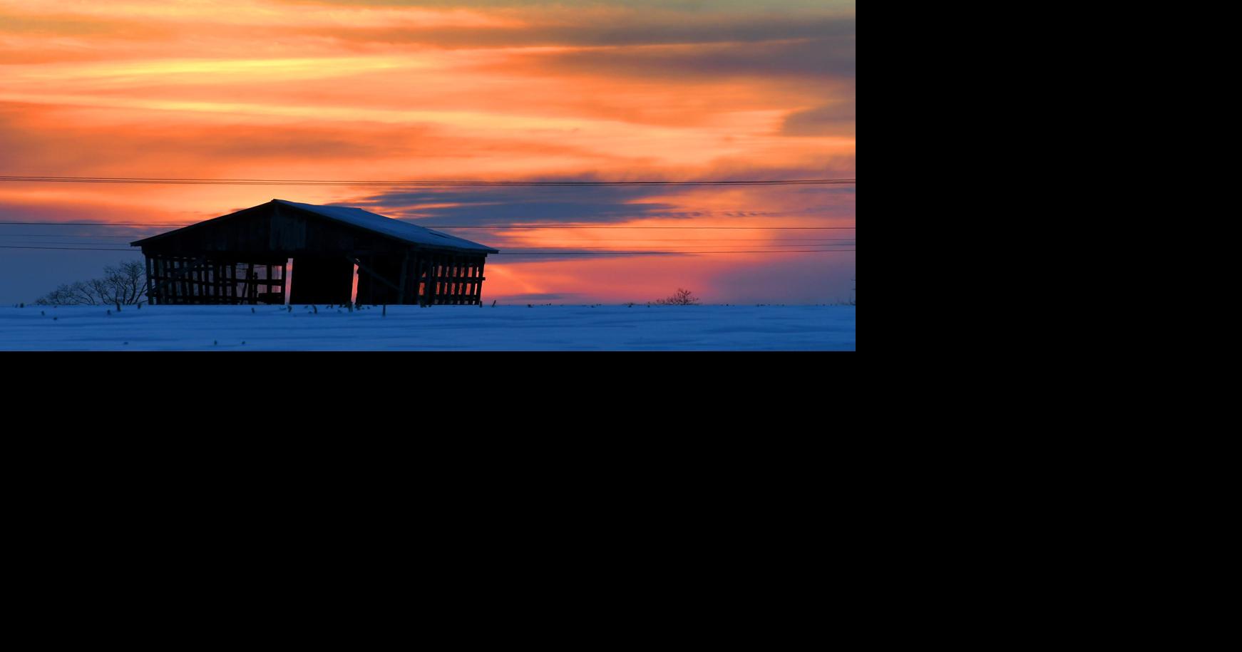 Cayuga County accepting farmland protection applications