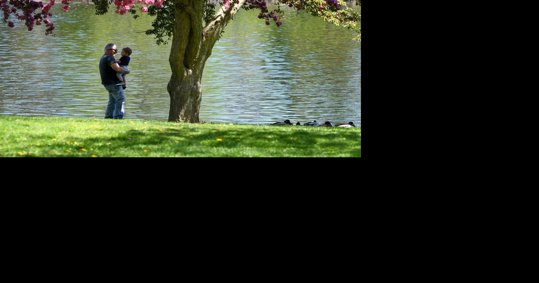 Gallery Spring has finally sprung at Hoopes Park in Auburn