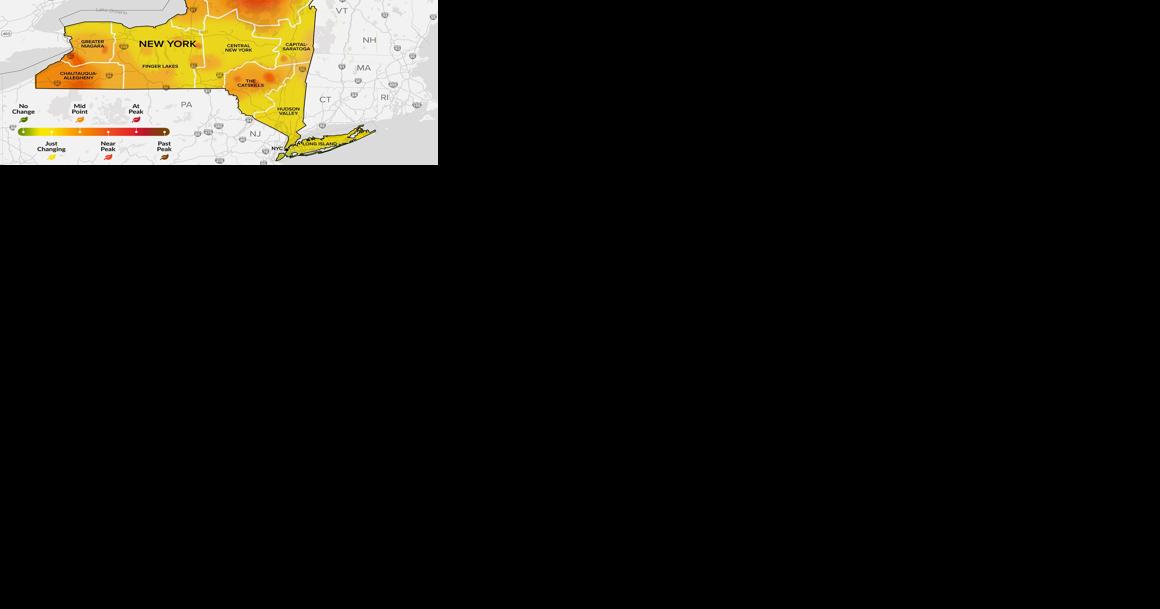 New York state fall foliage report: Oct. 4-10 - Vimarsana News