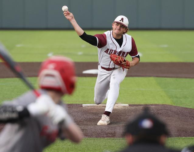 AHS Baseball 3.JPG