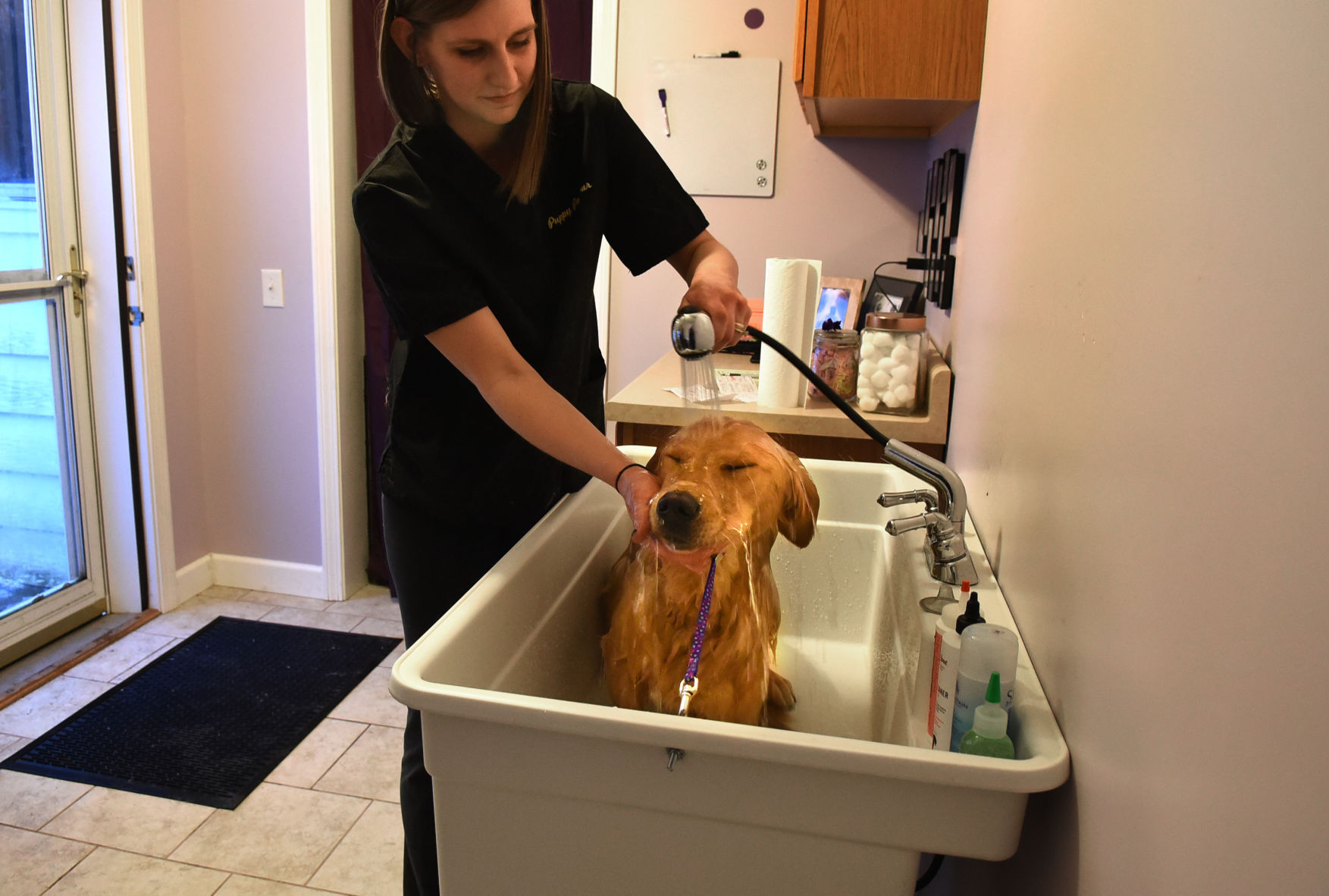 mobile grooming parlour