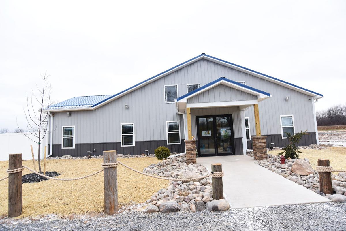 Beach Themed Phoebe S K9 Resort In Seneca Falls Is The Dog