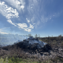 DEC Forest Rangers – Week in Review