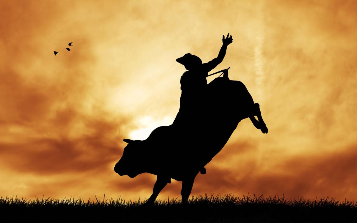 Rodeo return: Moravia stable bringing back bull riding, steer wrestling