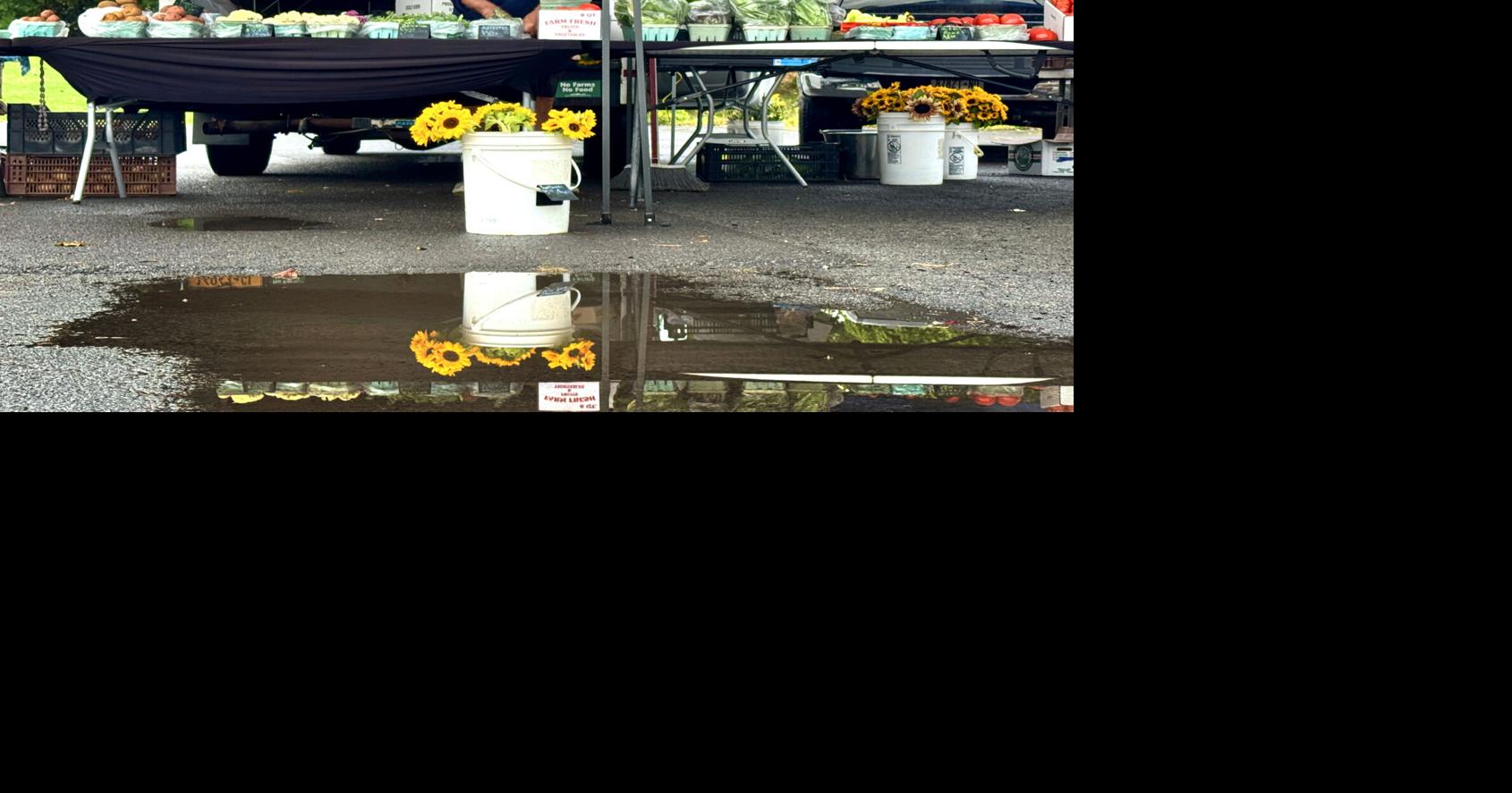 Cosentino: Appreciation for the Auburn farmers market and eggplant