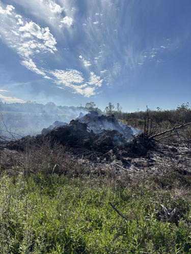 DEC Forest Rangers – Week in Review