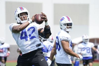 Buffalo Bills Mandatory Mini Camp