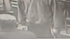 State police investigating recent larceny of vehicle parts from Springport business State police investigating recent larceny of vehicle parts from Springport business