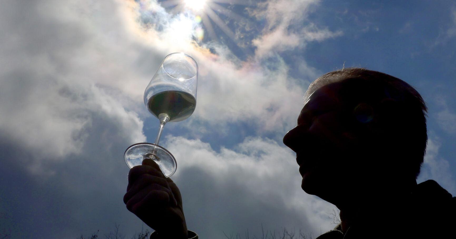 Fermenting a following: Cayuga County's newest winery finds a different way to grow - Vimarsana News