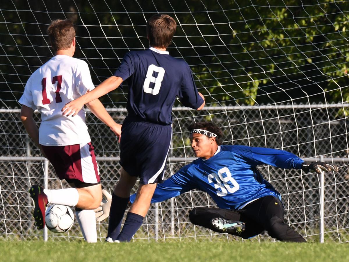 Early goal in second half pushes Auburn boys soccer past Homer Local