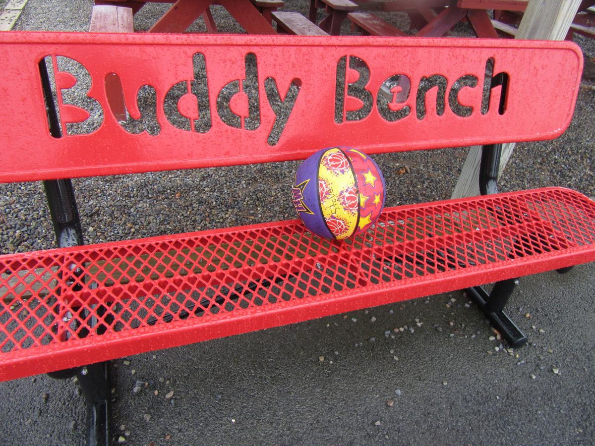 Southern Cayuga Conversations From The Buddy Bench Lake Life