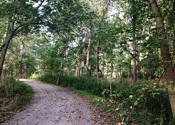 Marcellus Park changes over time, continues to improve as it approaches