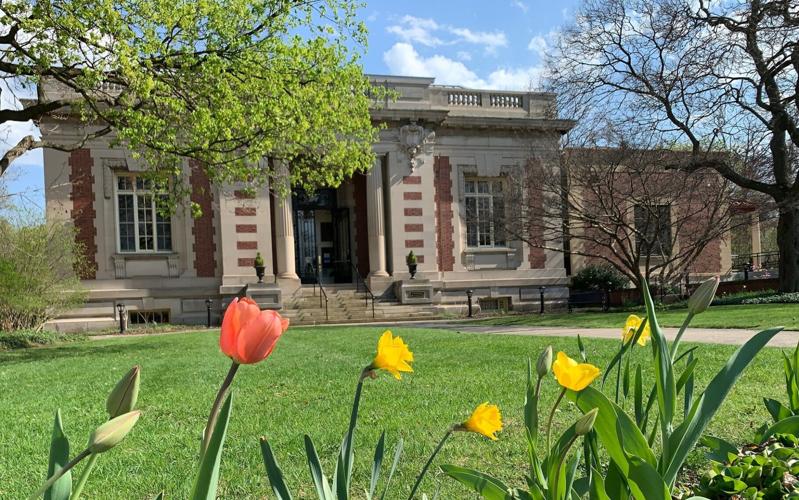 Seymour Library Book clubs, staff picks and more ways to 'Get Caught