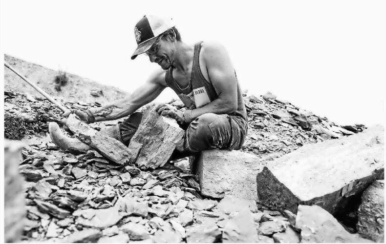 Fossil hunting in upstate New York