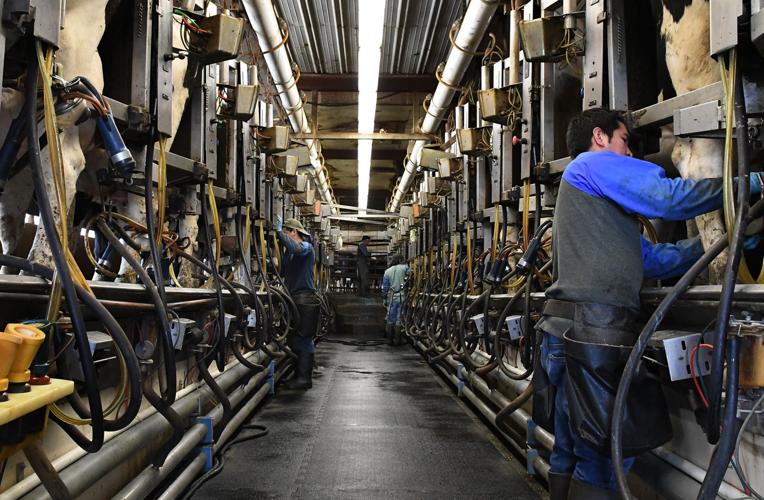 Gallery Allen Farms in Scipio Center