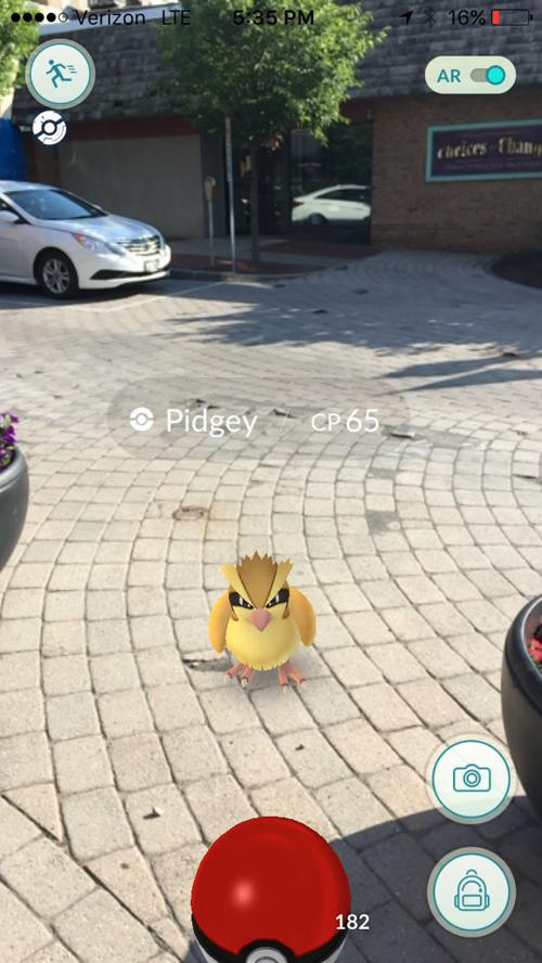 Syracuse Zoo To Host Pokemon Go Night Entertainment Auburnpub Com
