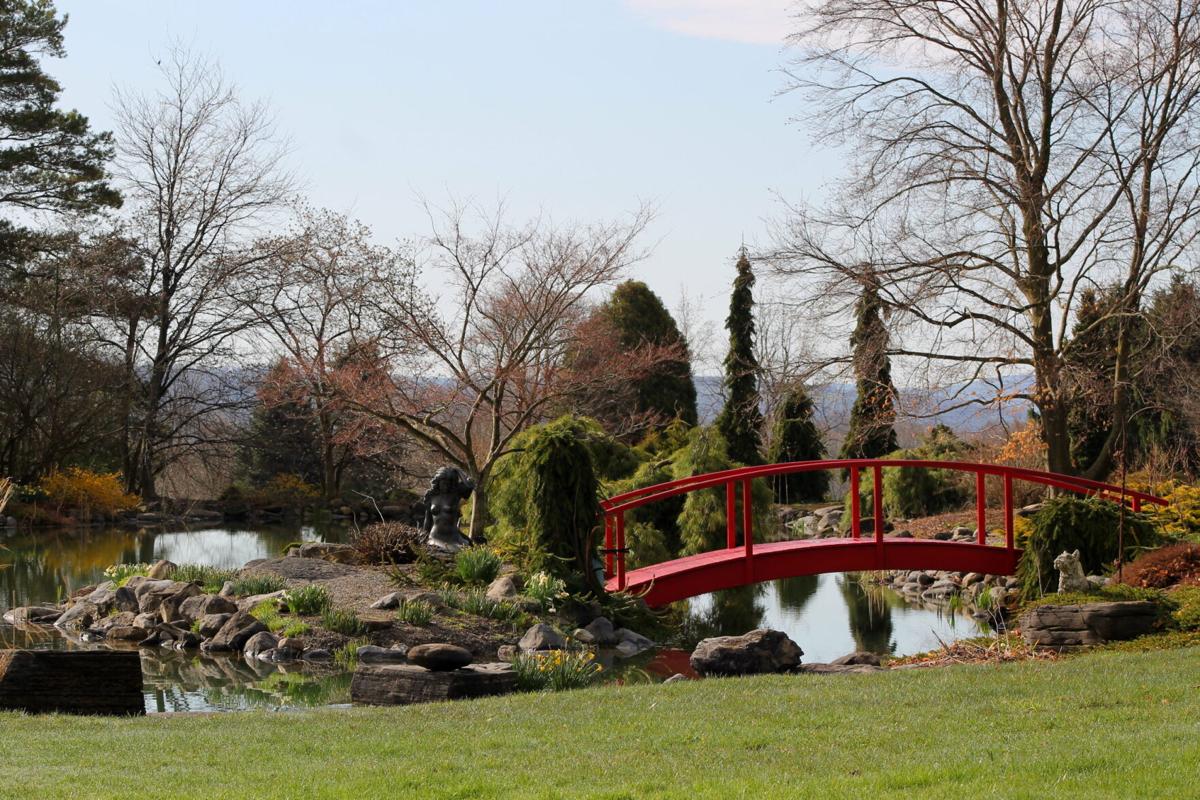 Maze, koi pond and more await at Mother's Day Garden Tour in Marcellus