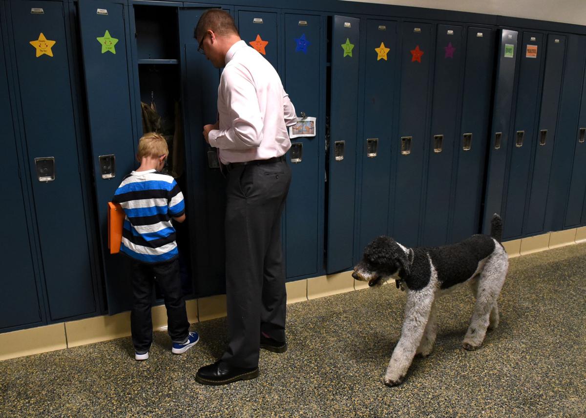 Archer therapy dog 6