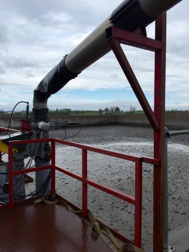 Scipio manure lagoon