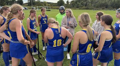 Weedsport Cato FH 8.JPG