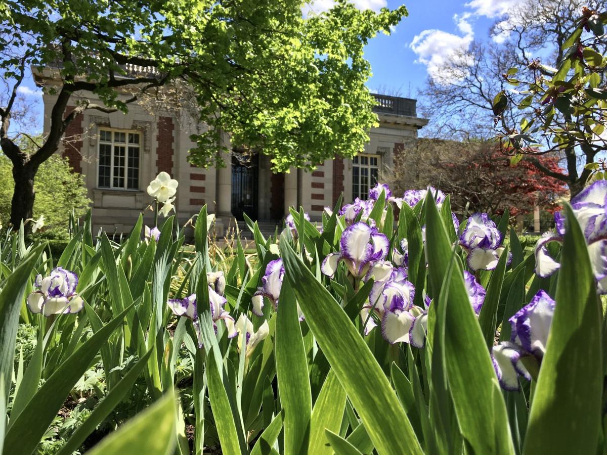 Seymour Library