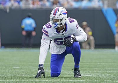 Buffalo Bills Carolina Panthers NFL Football