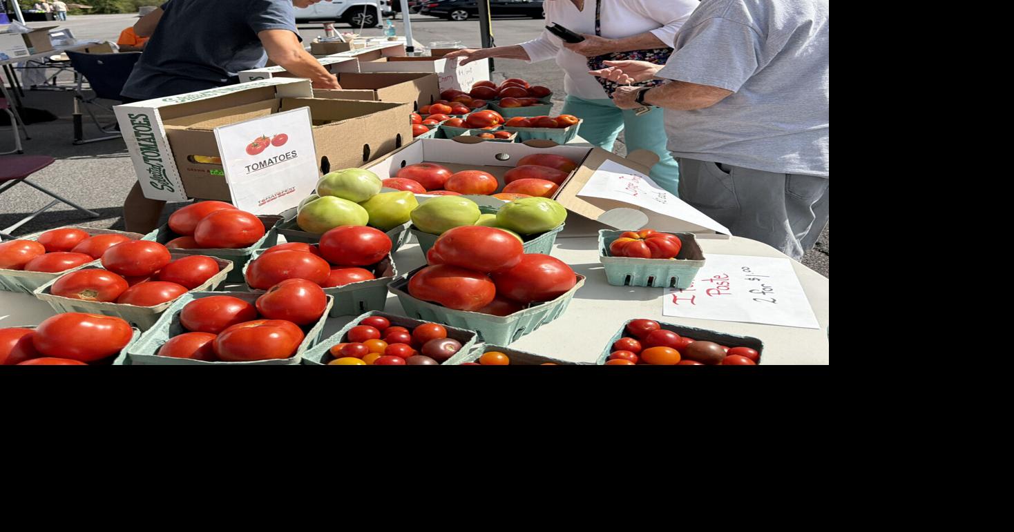 Gallery: CNY TomatoFest at Cayuga Community College