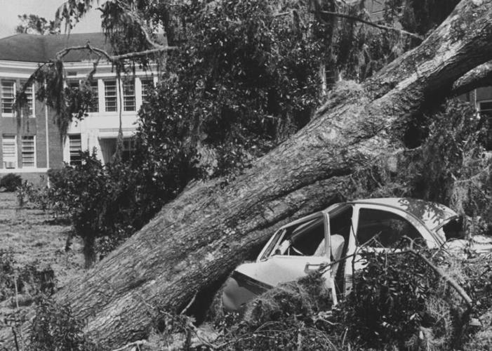 1959: Hurricane warnings save lives