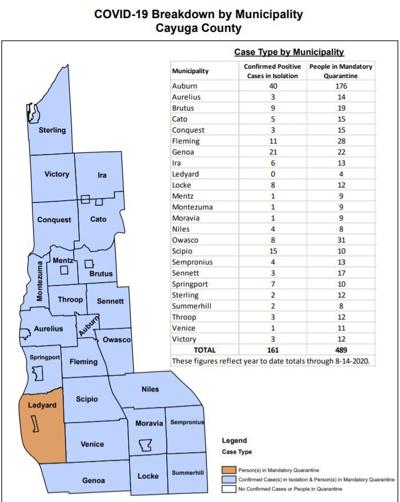 Two Cayuga County towns account for 60% of new COVID-19 ...