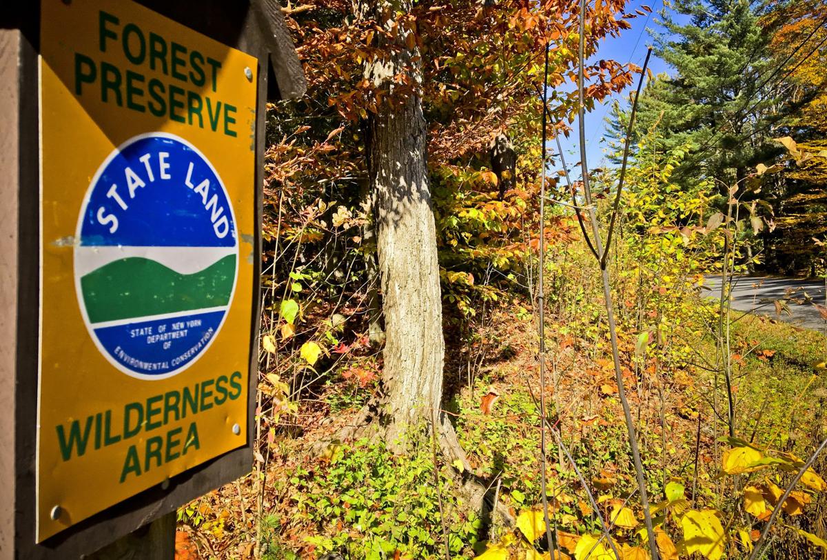 Forever Wild Ballot Measure